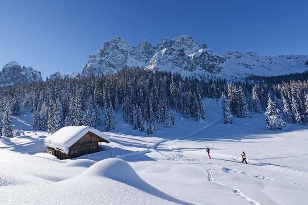 Appartamento Comelico Dolomiti Candide Ngoại thất bức ảnh